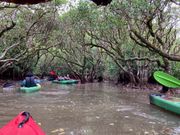 沢山のカヌーが出てました