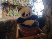 三段壁の洞窟①