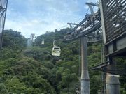 猫空ロープウェイ