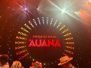 ショーが終了して興奮状態で退出する所