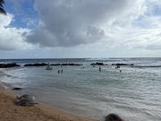 ウミガメ@ポイプビーチ