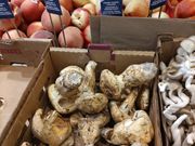 グランビルアイランドでみつけたカナダ産松茸