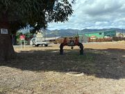 ハレイワ入り口