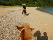 Dr.コトー診療所の目の前の海を渡ります。