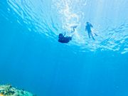 親子でシュノーケル