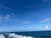 遠くまで飛びました！