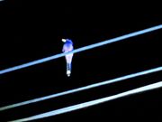 ルリカケス。何羽も見ることができました。