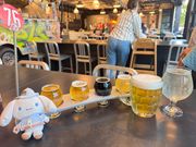 飲み比べも出来るて迷っても安心でした