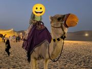 初体験ラクダ乗り