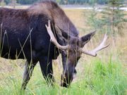 野生保護区にて