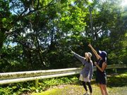 モダマ発見‼️