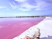 ピンクラグーン