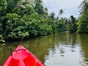 カヤックから見れる景色