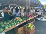 kccファーマーズ