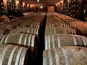 美味しいワインになるのをクラシック音楽を聴きながら寝て待っているワインたち