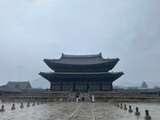 大雨の中での観光