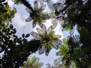 金作原トレッキング