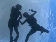 シュノーケリング