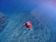 3回目のリピーターです！