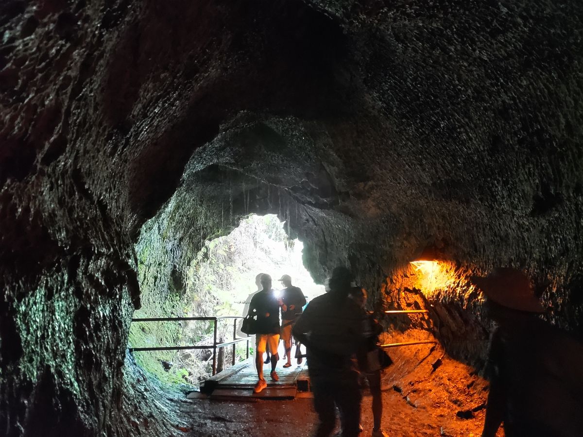参加者のレビュー一覧) オアフ島発 ハワイ島日帰り観光（キラウエア