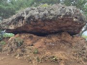 バランスロック。わざと乗せたのではないそうです。