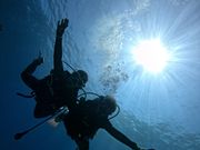 上から見るのもいいけど
下から上もキラキラ〜