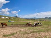 大草原をトコトコ散歩するのは楽しかったです！