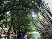 リアルジャングルクルーズ！笑