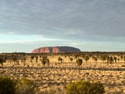 ズームしてこの距離です。