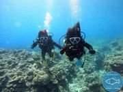 送迎が決め手でした。