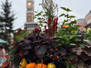 ハロウィンの白い恋人パーク