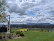 ドメイン・シャンドン