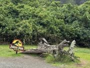 ジュラシックパークのロケ地