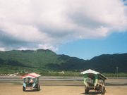 由布島の水牛車