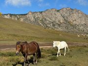 ホテルの目の前の道路