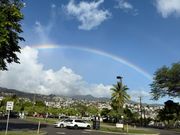 レインボー🌈！と、ドライバーさんが教えてくれた！