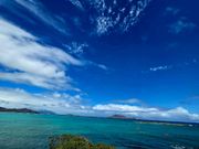 カイルアからラニカイへ向かう途中の道端から