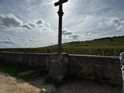 ロマネ　コンティの前