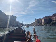 ゴンドラからの風景