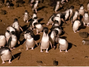 公式サイトから写真もらえます