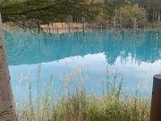 美瑛町の青い池&旭山動物園