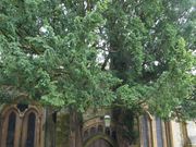 ストウオンザウォルド