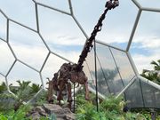 レストラン付近