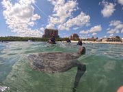 シュノーケリング