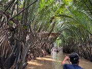 ジャングルクルーズ