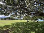 Haleiwaフリータイム中にAlii beach parkまで足をのばす