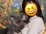コアラのミリーちゃん🐨