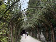 ドレミの歌のシーン