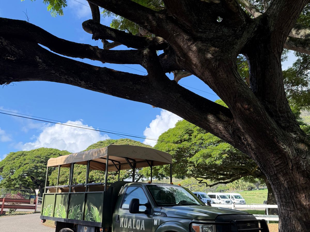 Things to Do in Oahu in 2025 – Tours & Activities