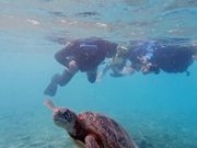 海ガメシュノーケル